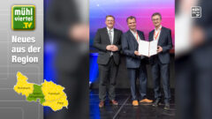 GUUTE gewinnt Vorentscheid des „European Enterprise Promotion Award“