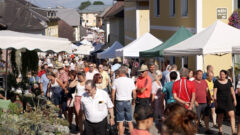 Kräuterkirtag in Klaffer am Hochficht